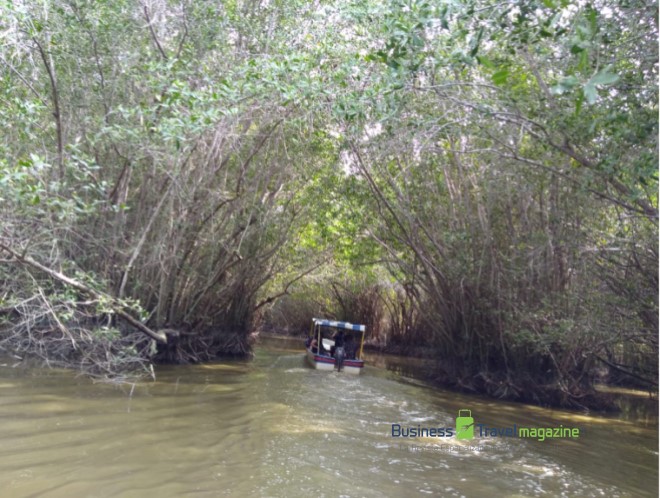 Recorrido Laguna de Tres Palos 